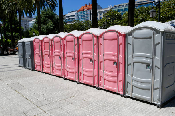 Best Portable Toilets with Baby Changing Stations  in North Fair Oaks, CA